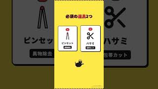 防災救急箱に必ず入れておく10アイテム