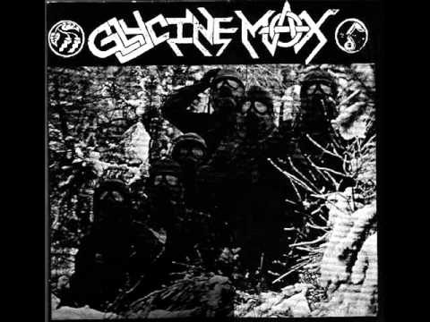 Glycine Max - Violent mind peacefull heart
