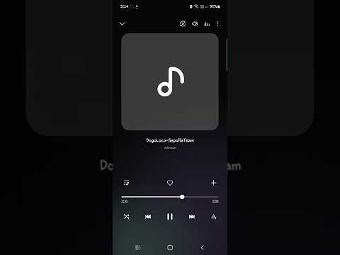 Dogoloco - sepolia to team