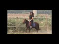 Anjali S Pony Ride Let S Ride