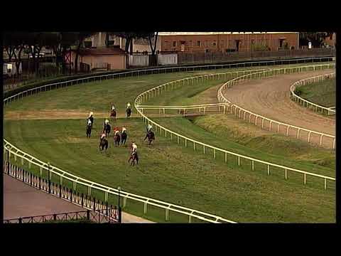 rm 20211022 04 p traghetto