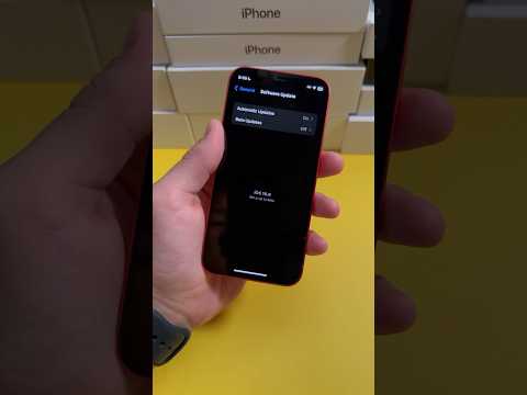 How To Get iOS 17 On iPhone 11