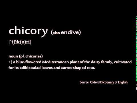 How to pronounce - chicory