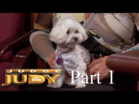 Landlord and Tenant's Dogs Get into a Scuffle! | Part 1