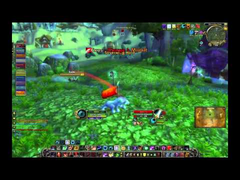 Gladiator Miirkat - Hello Warrior