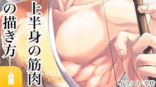 人体の構造を理解する!上半身の筋肉の描き方講座|マンガ・イラストの書き方が動画で学べる!お絵描き講座Palmie (パルミー)