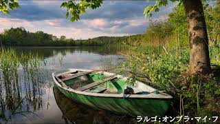 Download lagu ラルゴ：ヘンデル歌劇「セルセ」より（フルート・カルテット：シンセサイザ演奏） mp3