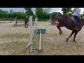 Poney/Cheval 1m49 17ans 