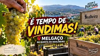 Programa 20/09/26