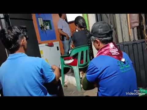 Acción Solidaria plagas y enfermedades del café Vereda La Danta, Guadalupe Huila.