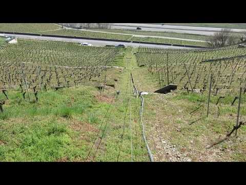 Standseilbahn 1803.02 Chardonne Les Bedaules Ouest - Talfahrt 2020 - funicular - funiculaire