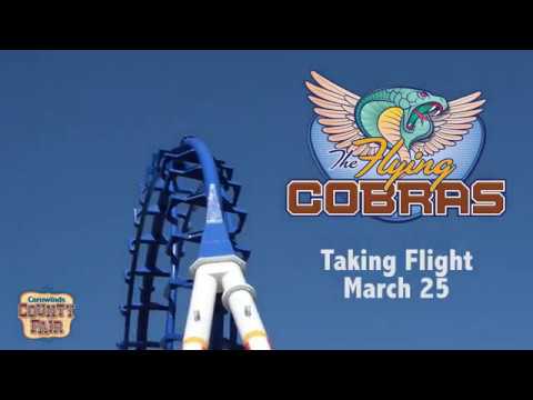 Flying Cobras short video by Carowinds