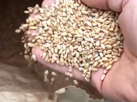 18. EMISIJA AGRO PODUNAVLJE  01 - 07 - 2019