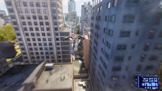 Black noir.Cat bot, found.