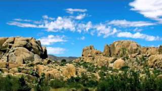 No Mans Land/ the rubatos