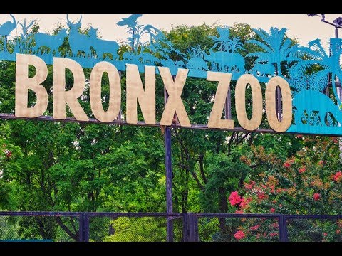 image-Does New York have a Zoo?