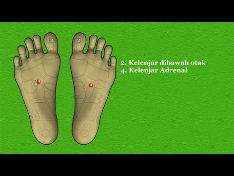 Suplemen untuk wanita patogen Bola herbal Cina untuk potensi