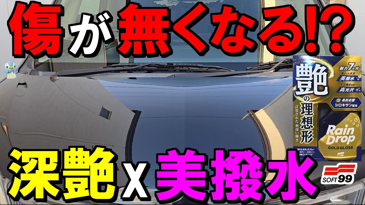 【傷埋め光沢x美撥水】ソフト99「レインドロップゴールドグロス」がすごかった！【2026新作コーティング】