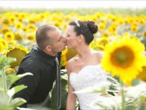 Zadnja zelja -  Stipica Mazar