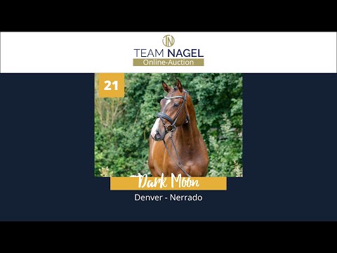 Katalog 21 - Wallach v. Denver - Nerrado * 08.05.2019