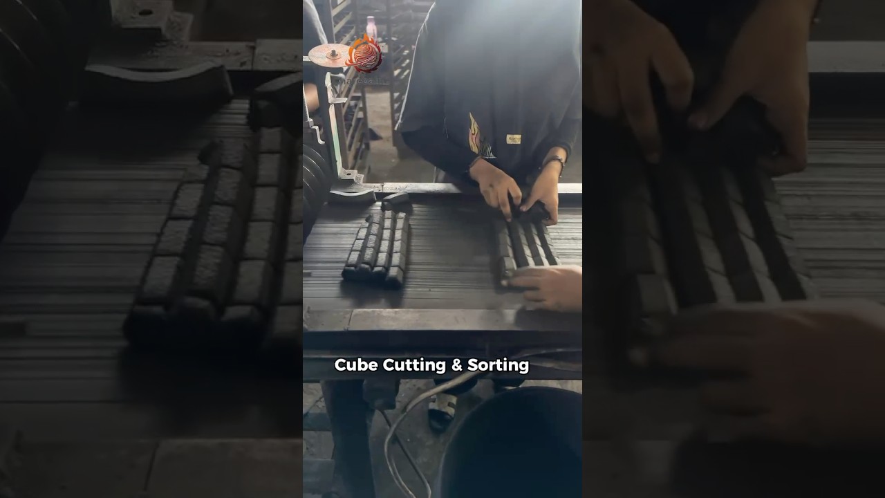 Company Video