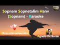 Konkani Karaoke🎤Sopnam Sopnetalim Hanv (Sopnam) - Wedding Song🌷