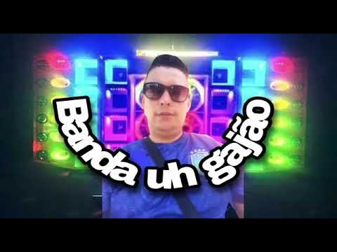 banda o gajão