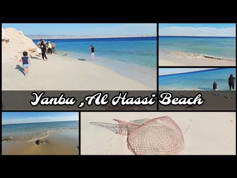 YANBU AL HASSI BEACH | SNORKLING | CORAL | SUNSET 🏖