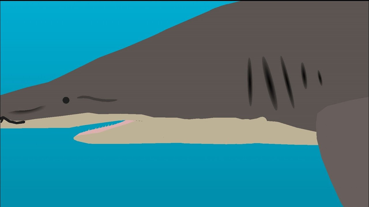 daggernose shark test