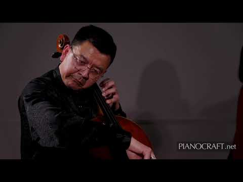 Mendelssohn Song Without Words op109 Bo Li & Hai Jin