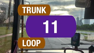 SBS Transit Trunk 11 | Bus Service Route Visual
