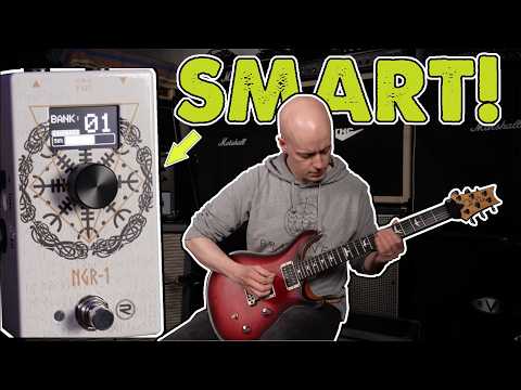 The RedSeven NGR-1 Noise Gate is PERFECT for gigging