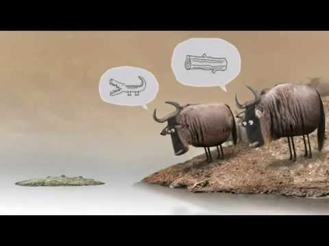 Pontos de vista - Percepção e realidade