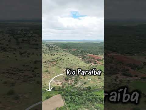 🌾 FAZENDA BELMONTE – MAIS DE 230 HECTARES DE CAPIM BUFFEL E ÁGUA EM ABUNDÂNCIA 🌾