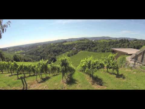 Terroir erleben - Südsteirische Weinstraße (Regionsinformation)