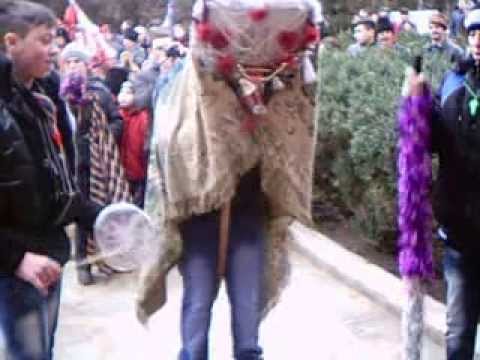 Capra din Plugari(2) 2013 2014