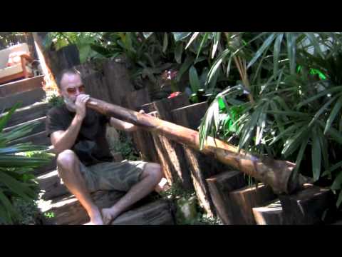 Andjru Werderitsch Agave Didgeridoo "AW102"