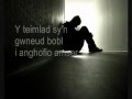 Y Teimlad lyrics: Welsh & English (by Datblygu)