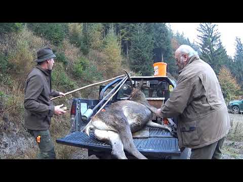 Jagd Eibental 2018 Teil 3