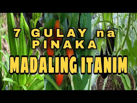 , title : '7 Gulay na Pinakamadaling Itanim | Easy to Grow Vegetables for Beginners | TIPS