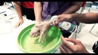 A Day รายการกล้าคิด มหัศจรรย์ KEEEN