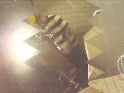 ArtManhaCrew - Vivendo No Mundo Animado