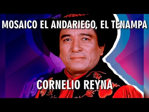 Mosaico El Andariego, El Tenampa - Cornelio Reyna (Karaoke)