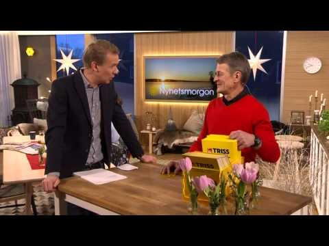 Triss: Hur många bandybollar får man för tre miljoner? - Nyhetsmorgon (TV4)