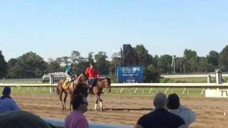 American Pharoah 1015 Haskell Invitational