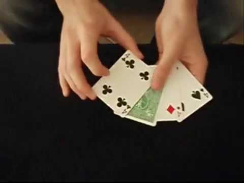 Green Backs by Sean Taylor