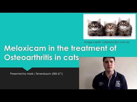 Meloxicam in the treatment of Osteoarthritis in cats