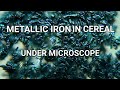 Iron From Cereal Under Microscope Science Microscope Biology