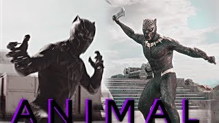 Black Panther // Animal