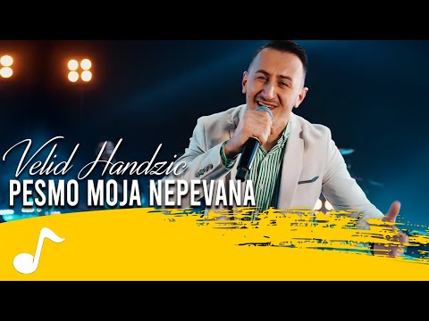 VELID HANDZIC - PESMO MOJA NEPEVANA (ORKESTAR DRAGANA CIRKOVICA CIRE)